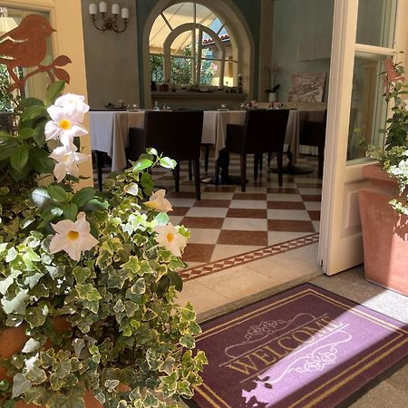 Villa Palmira Kinderfreies Hotel Cannobio Buitenkant foto