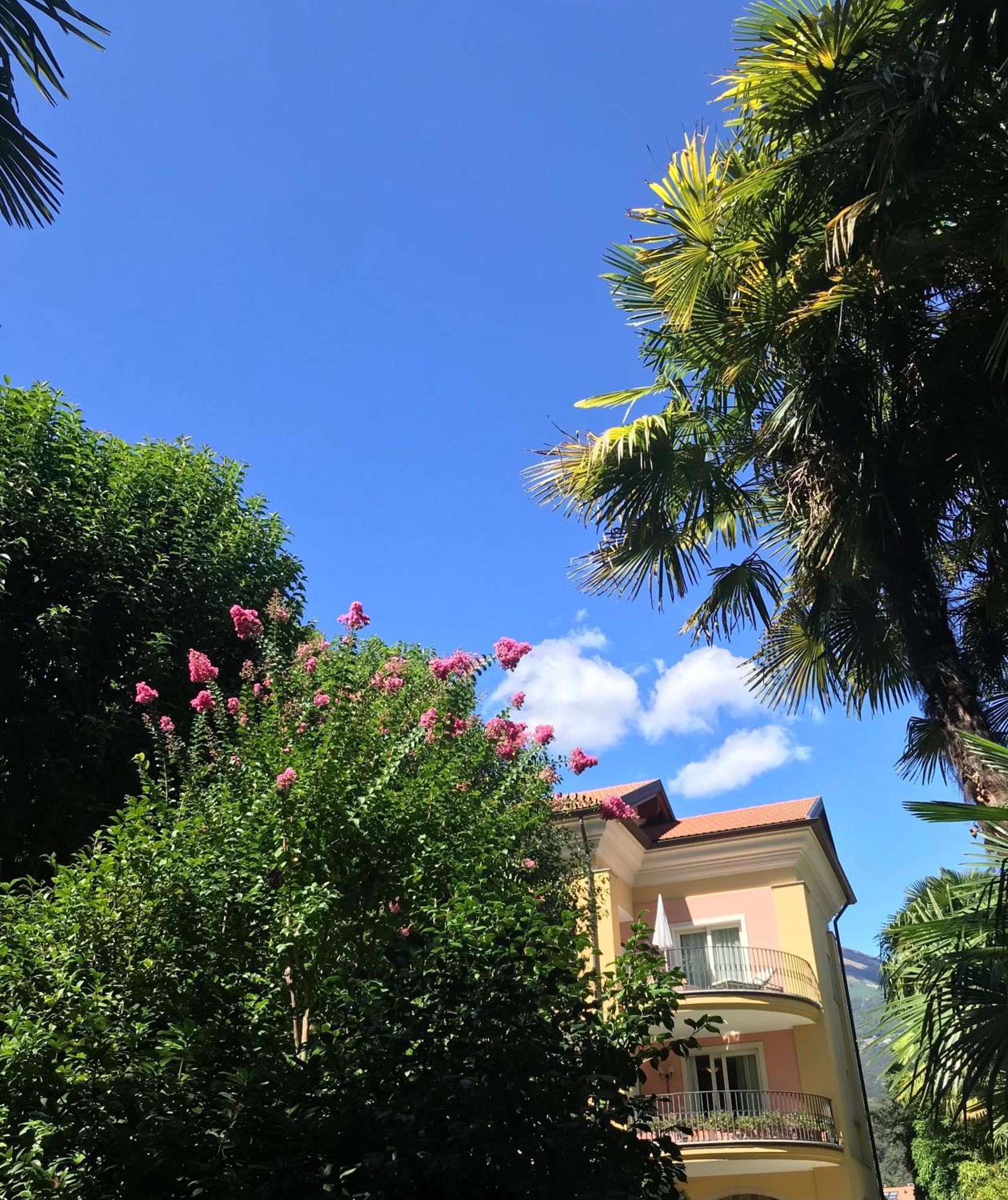 Villa Palmira Kinderfreies Hotel Cannobio Buitenkant foto