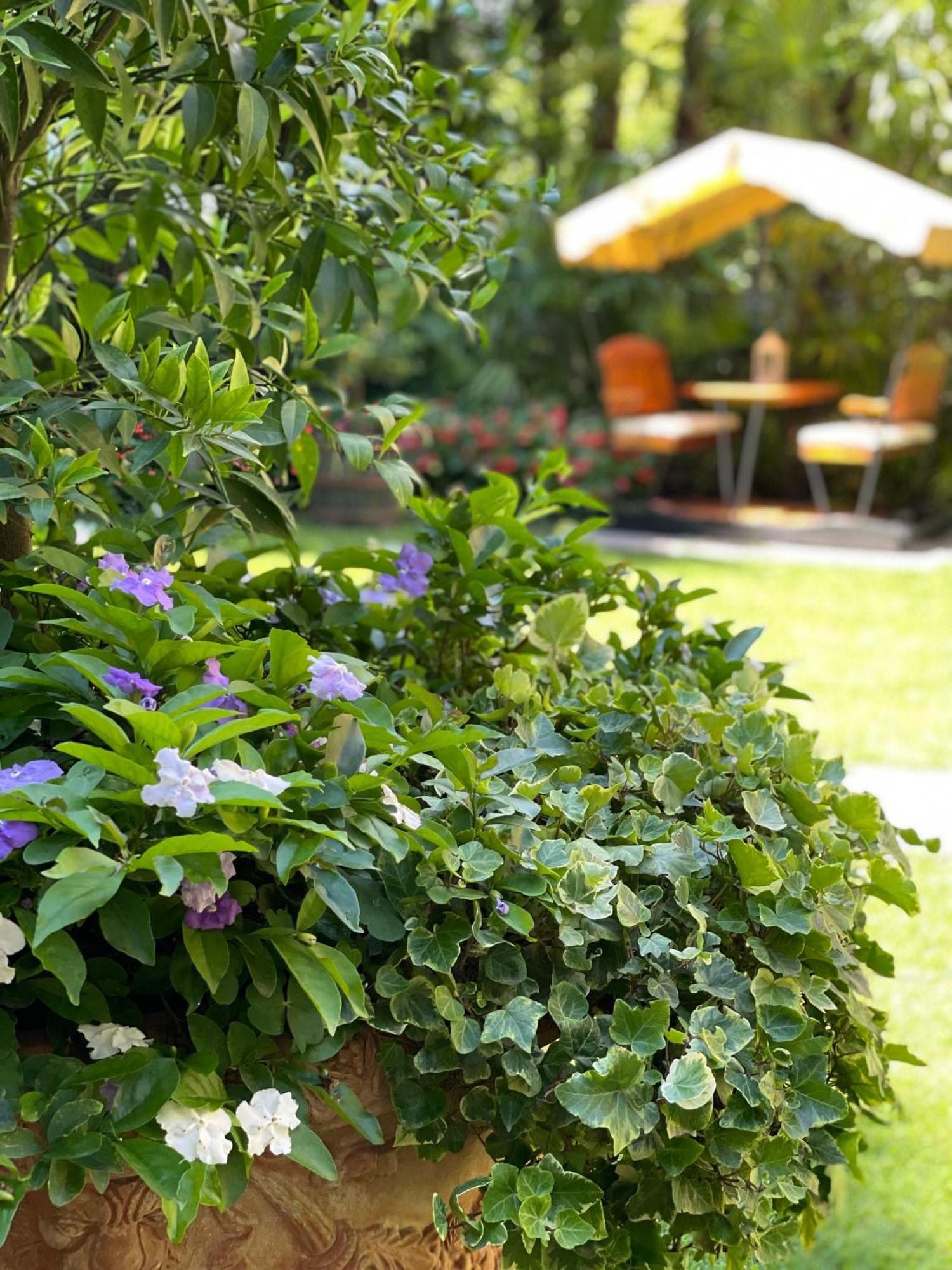 Villa Palmira Kinderfreies Hotel Cannobio Buitenkant foto